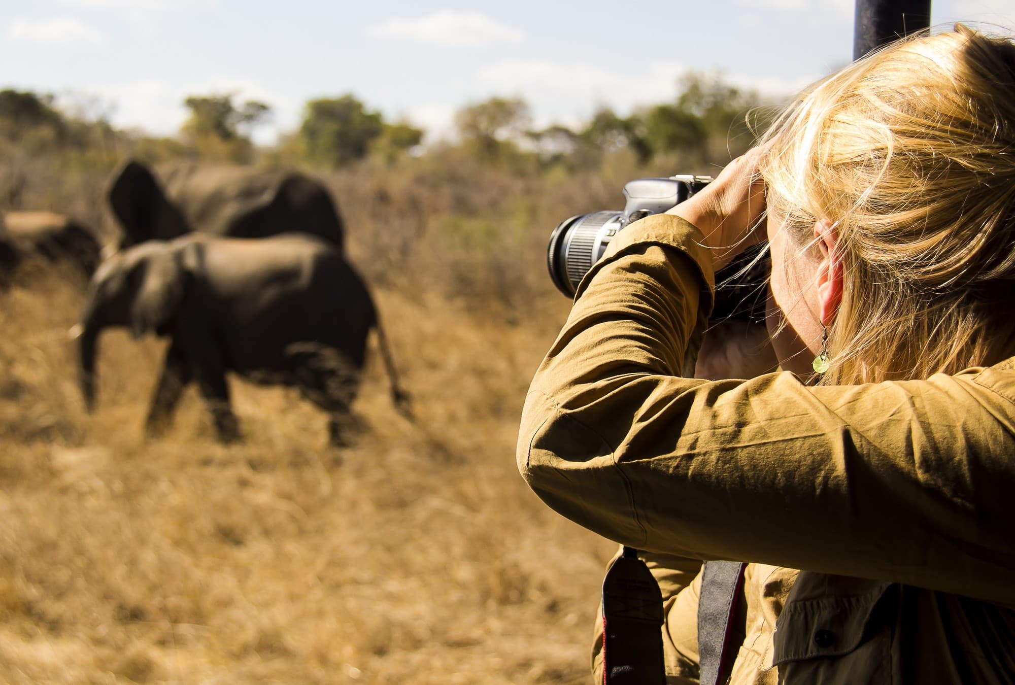 Photographic Safaris