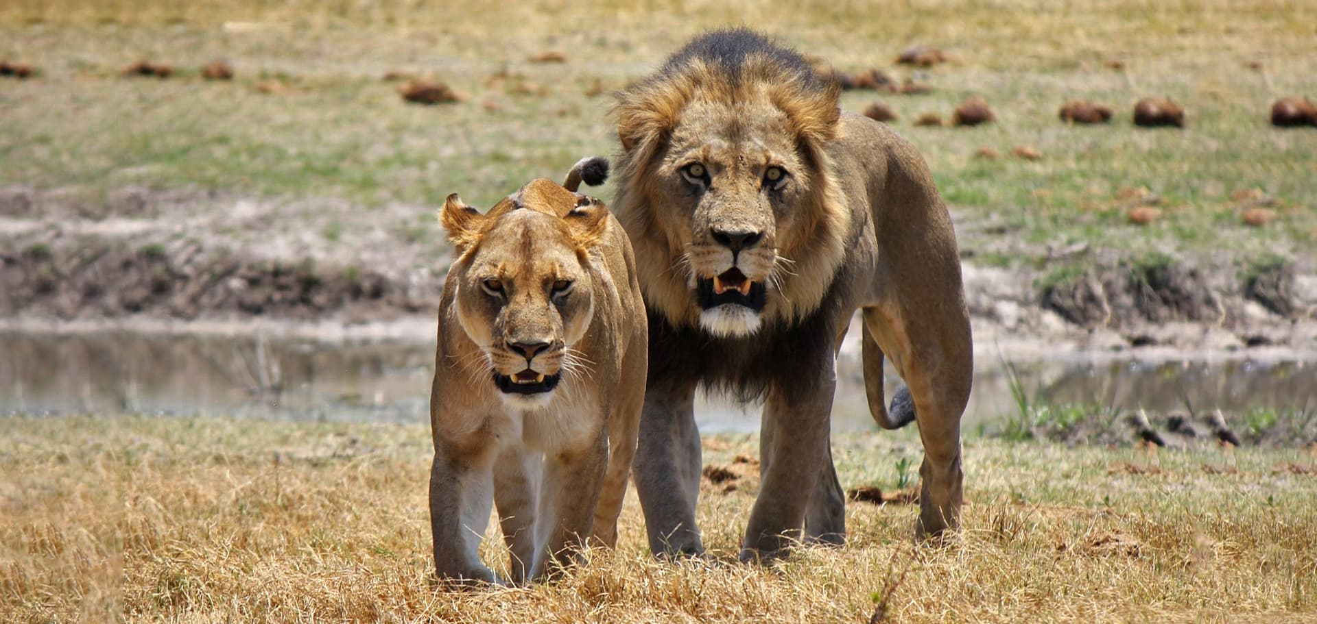 Game Drives