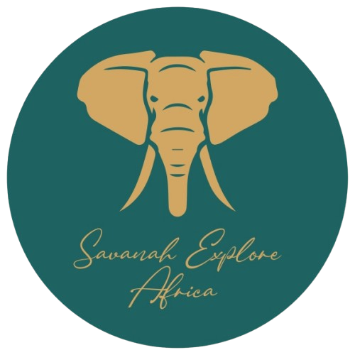 Savannah Explore Africa