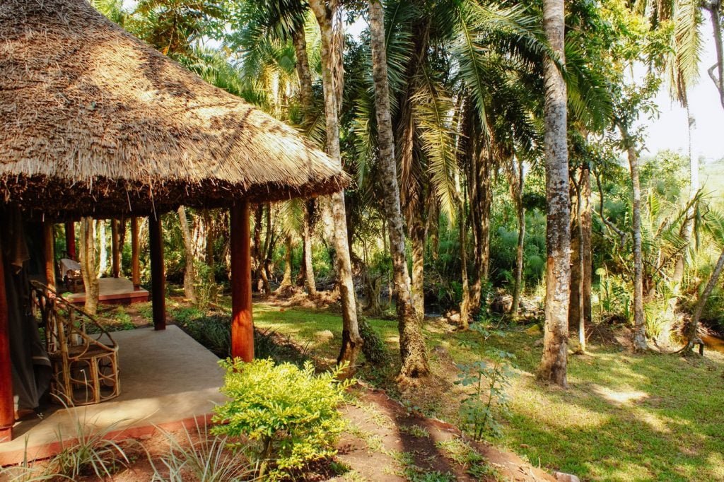 Kibale Forest Camp