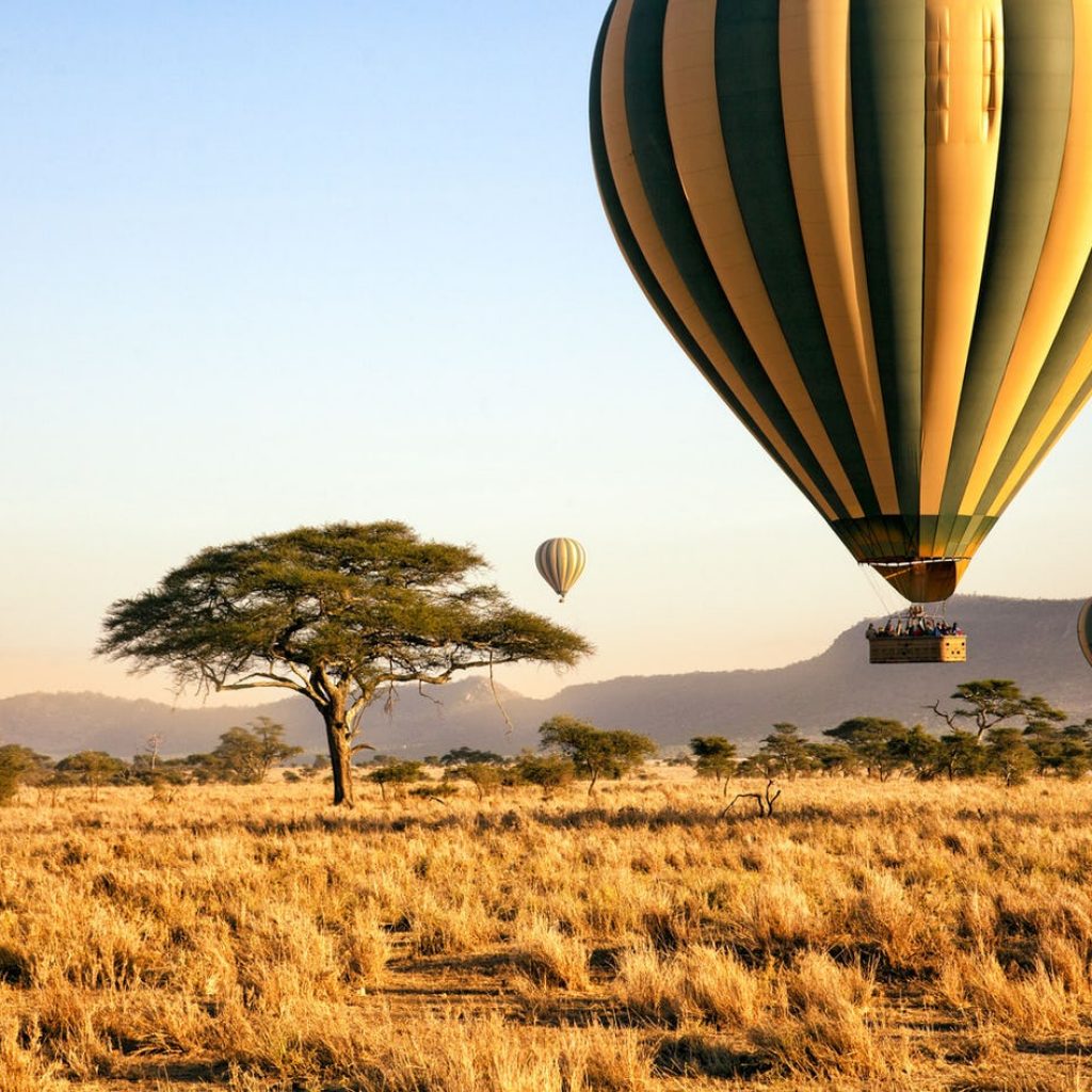 1-serengeti-national-park-tanzania-timbuktu-travel-10