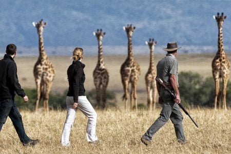 Walking Safaris