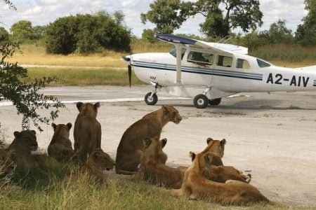 FLY-IN SAFARI