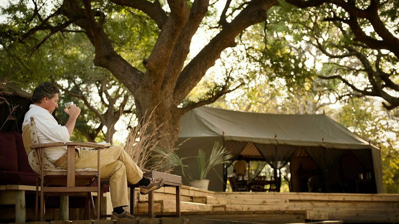 Safari Tent