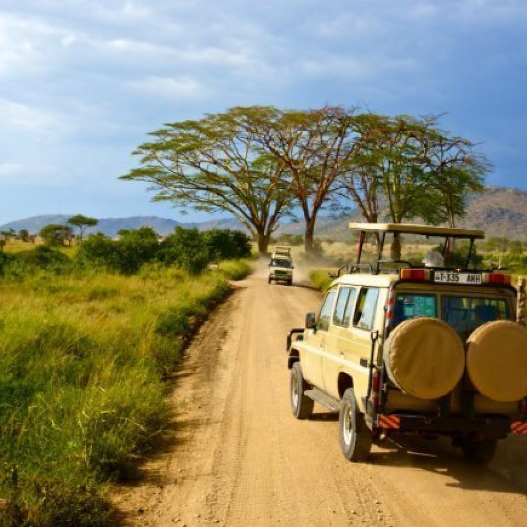 Serengeti-game-drive-Tanzania-2