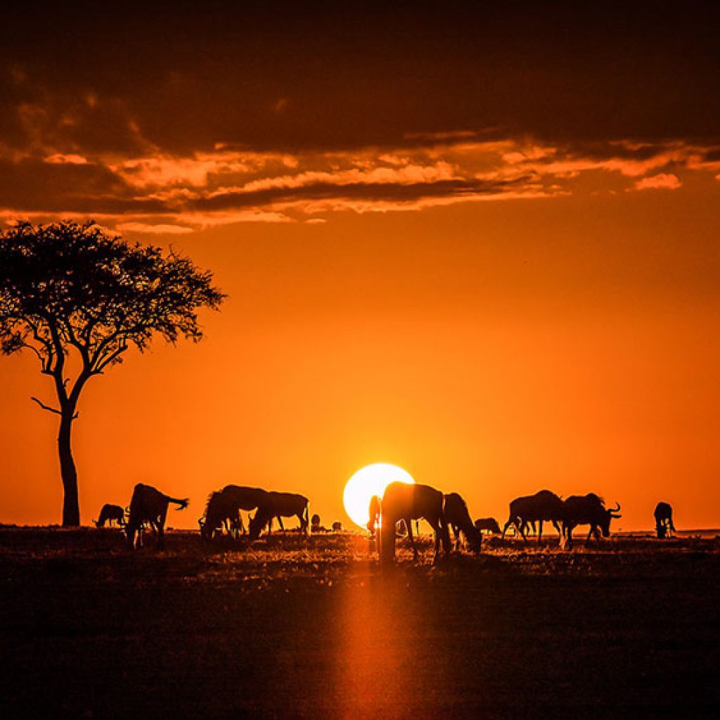 Kenya-pg-11