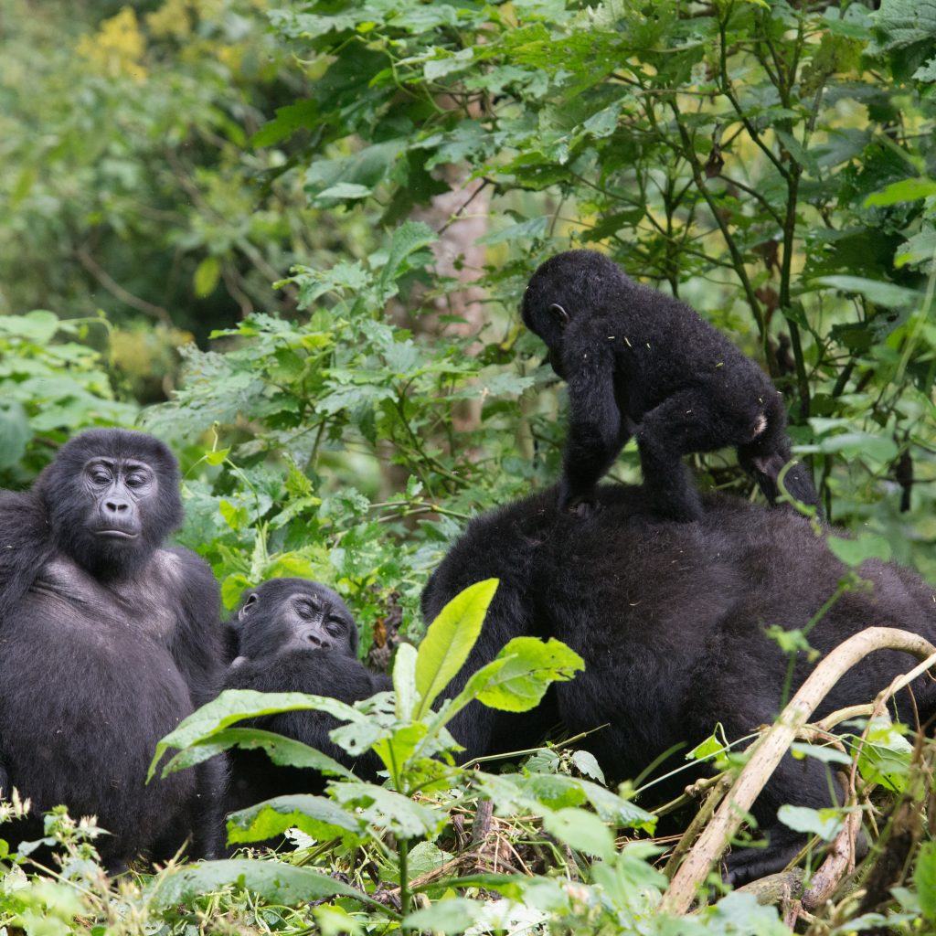 tanzania_uganda_selection-129