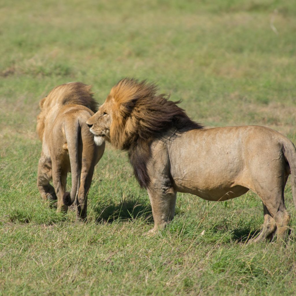 tanzania_uganda_selection-28