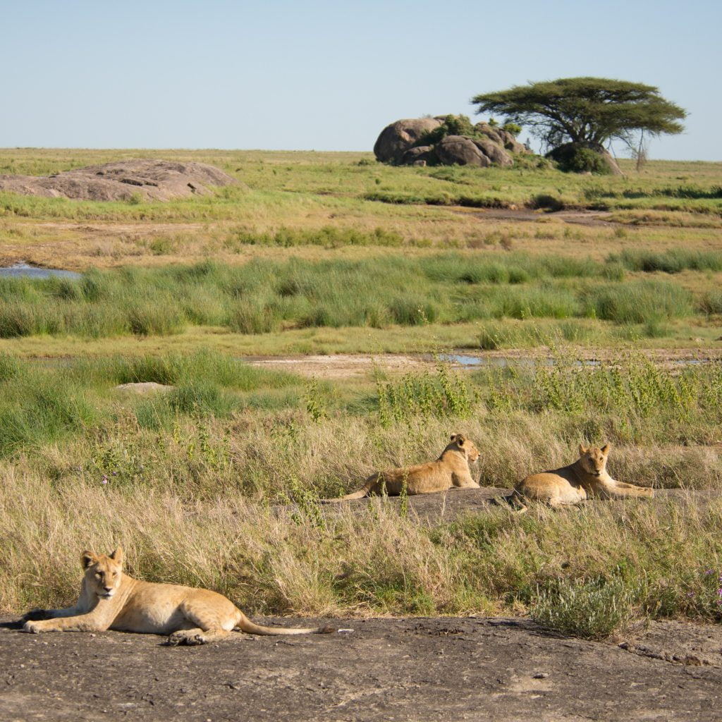 tanzania_uganda_selection-23