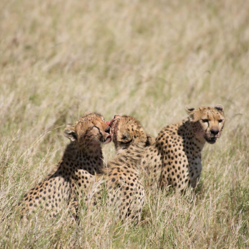 tanzania_uganda_selection-33