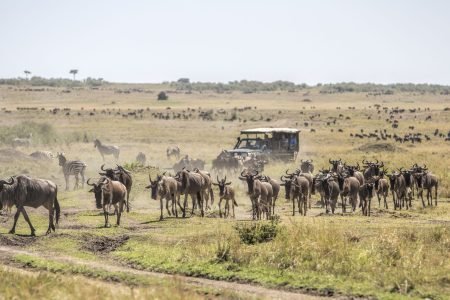 Discover the Maasai Mara