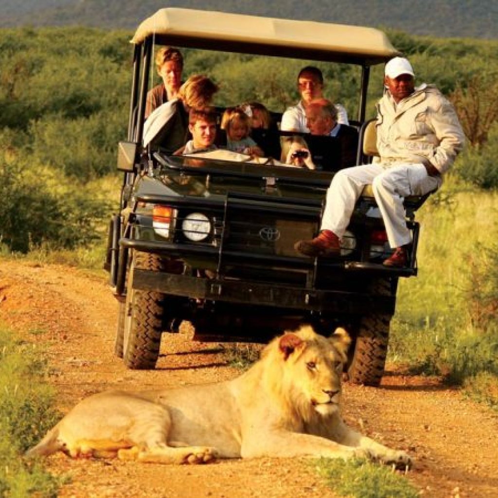 Uganda-Safari