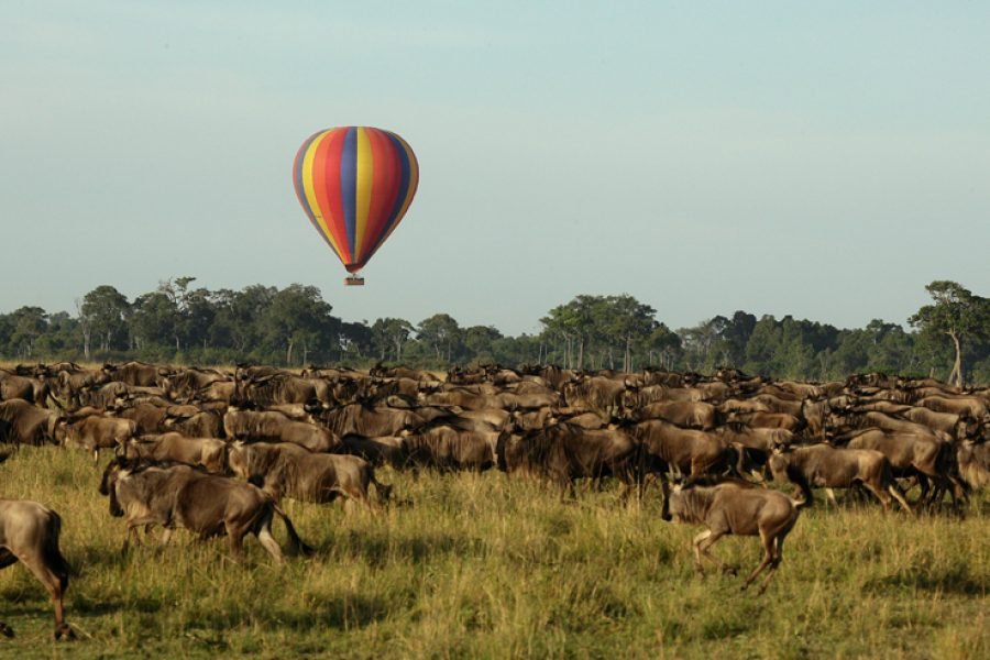 5 Days Tanzania Highlight Safari