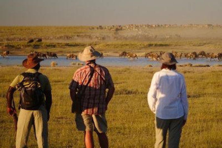 Walk Among the Great Migration