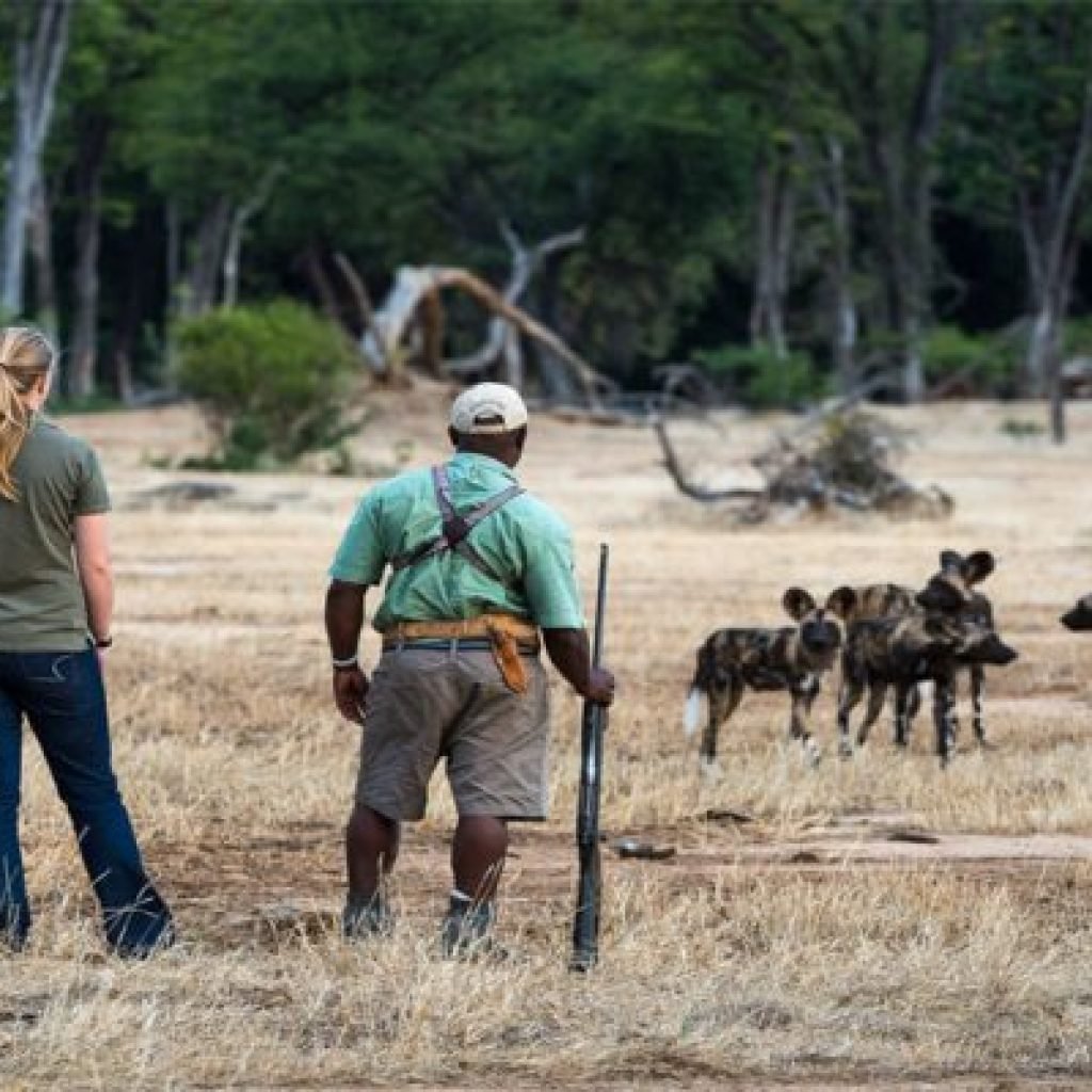 walking-safaris3-511x400
