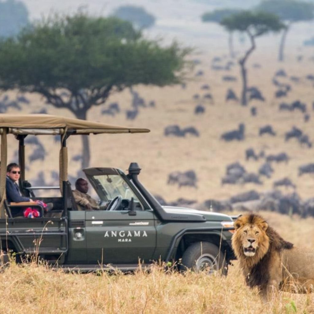 Year-round-wildlife-in-the-Mara