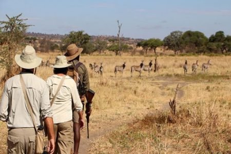 4 Days Tanzania Flying Safari