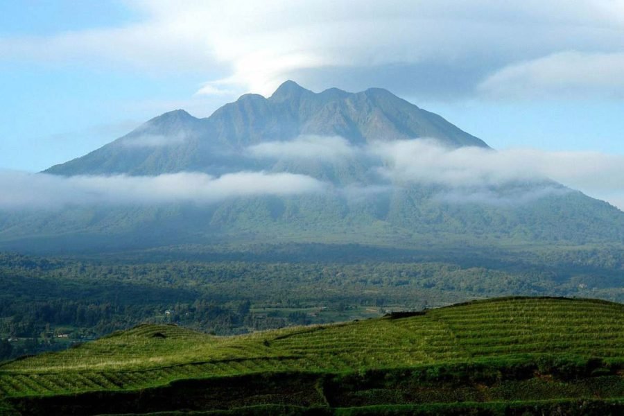 5 Days Gorilla Trekking Safari in Rwanda
